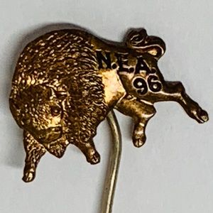 Antique 1896 NEA (Natl Edu Assoc) Buffalo NY Pin